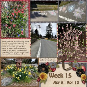 Week 15 of 52