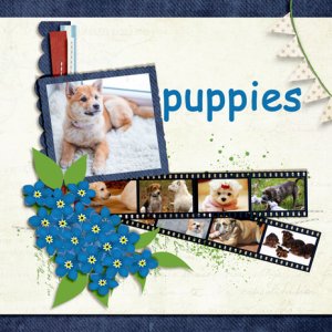 puppies