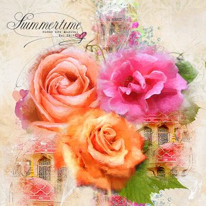 SUMMERTIME ROSES