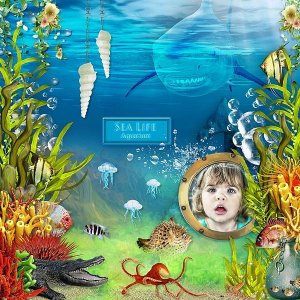 Visit to the Aquarium