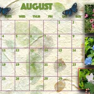 Desktop August 2020