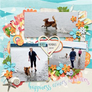 Happiness Comes In Waves