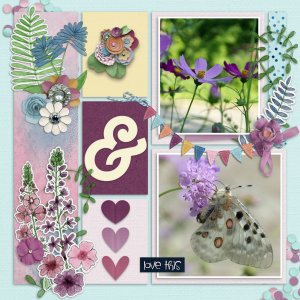Wildflowers10