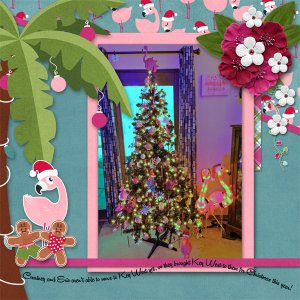 Tropical Christmas