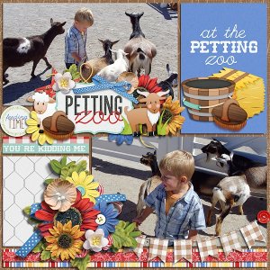 Petting zoo