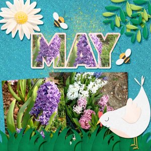 Calendar page