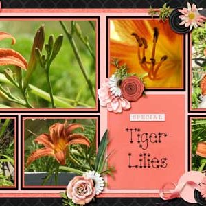 tiger_lilies-2_page_template_and_coral_candy1