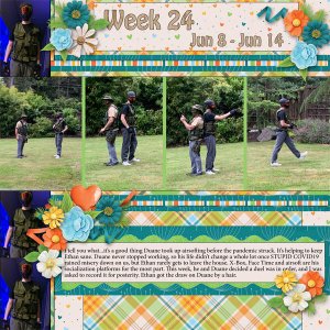 Week 24 of 52