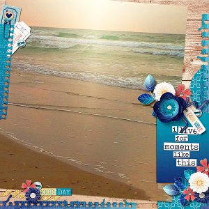 The Sea Vibe