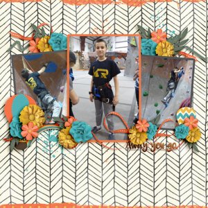Vertical-Rock-Climbing