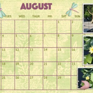 Desktop July 20