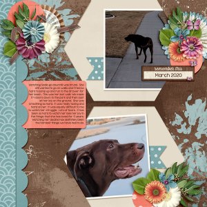 March-20-Last-WalkWEB