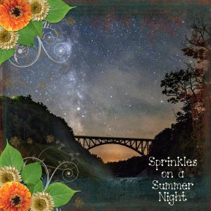 Sprinkles in the Summer Night