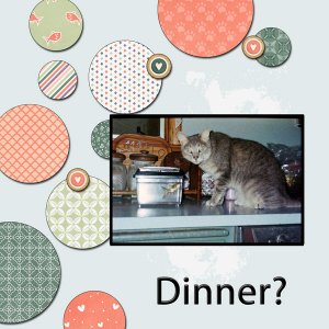 Dinner?