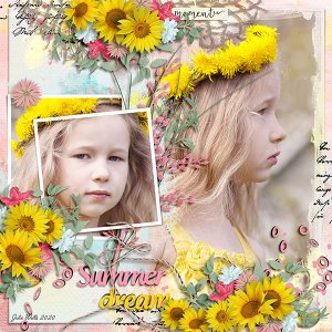 summer dream
