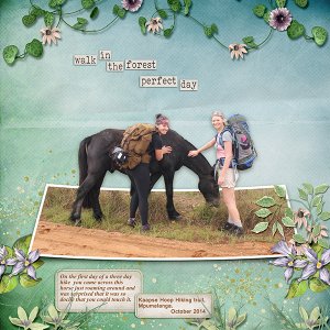 KaapseHoop Hiking