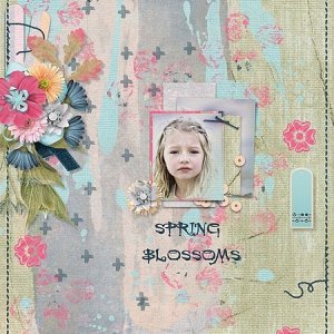 Spring Blossoms