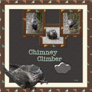 Chimney Climber