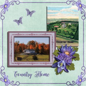 Country Home