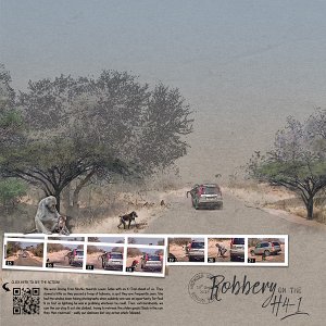 Baboon Attack a Car, Kruger Park, South Africa