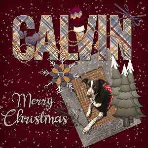CALVIN - Merry Christmas