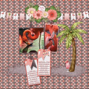 Flamingo Fabulous