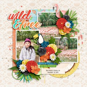 Wild and Free