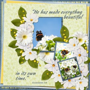 He has made everything beautiful in its own time