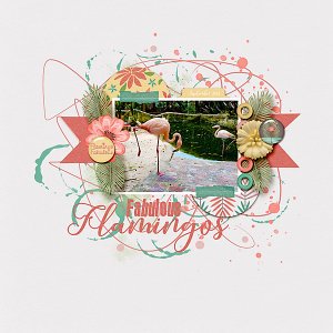 Fabulous Flamingo