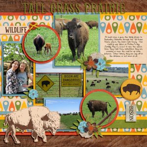 Tall Grass Prairie Family Roadtrip 5.10.20