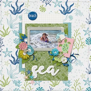 seabeach-copy