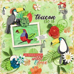 Toucan -shirt