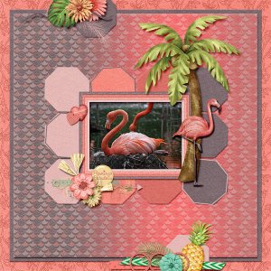 Flamingo breading