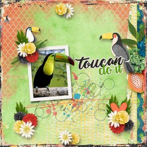 Toucan Do It