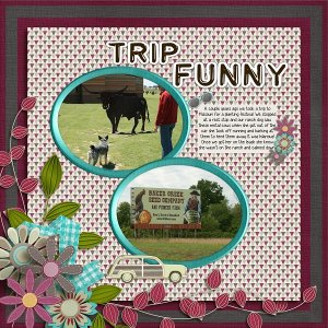 Trip Funny