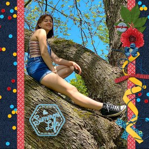Climbing a Tree mini kit challenge
