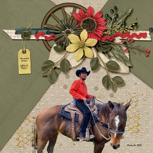 Arcadia Rodeo