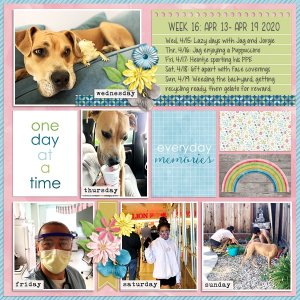 Week 16 {2020}