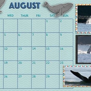 August 2020 Desktop