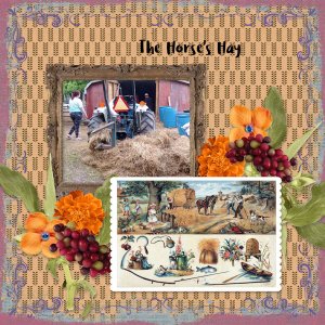 The Horse's Hay