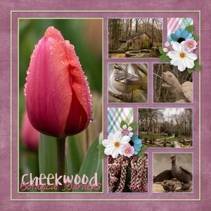 Cheekwood in Bloom 1