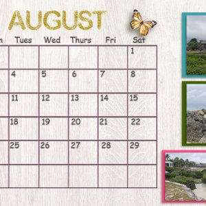 August 2020 Calendar