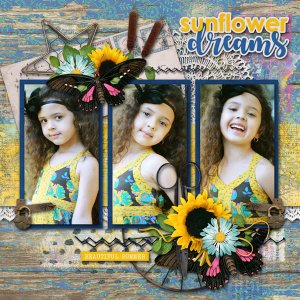 Sunflower Dreams