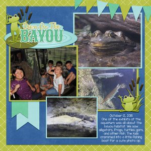 Bayou