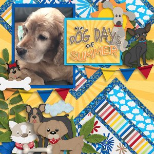 Dog Says of Summer