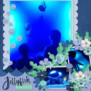 Jellyfish