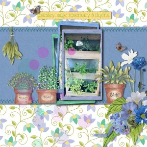 Sage and Thyme