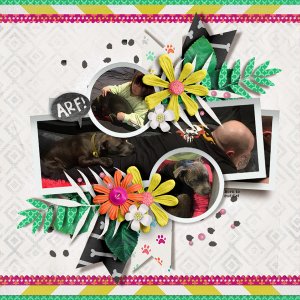 tnp-PANOPRETTY-PD3BM_CANWEKEEPIT_TRACY