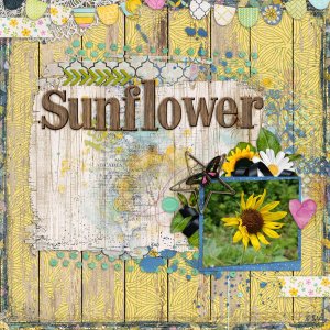 aimee_sunflowerdreams_tcot_sayit_600