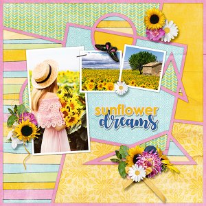 Sunflower dream